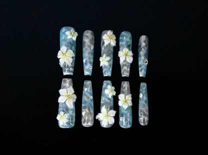 23. A Shore Once Dreamed